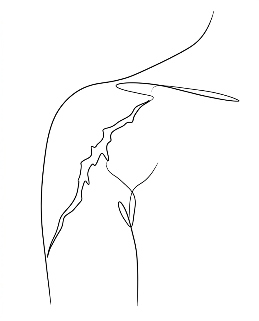 scar revision